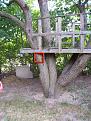 Click image for larger version

Name:	knife in tree01.jpg
Views:	245
Size:	123.8 KB
ID:	77574
