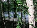 Click image for larger version

Name:	treehouse.jpg
Views:	174
Size:	49.8 KB
ID:	77576