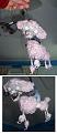 Click image for larger version

Name:	poodle02 copy.jpg
Views:	440
Size:	105.7 KB
ID:	77692