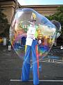 Click image for larger version

Name:	BubblePettingZoo_sanfran 293_small.jpg
Views:	28
Size:	43.9 KB
ID:	77733