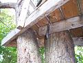 Click image for larger version

Name:	knife in tree02.jpg
Views:	246
Size:	97.6 KB
ID:	77914